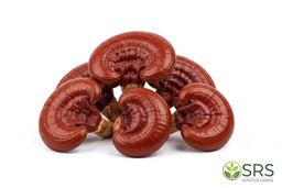 Reishi Muschroom with our srs nutrition logo